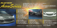 Catalogues - 2010 - RE Amemiya Brochure - Outside - 3-20102501-0